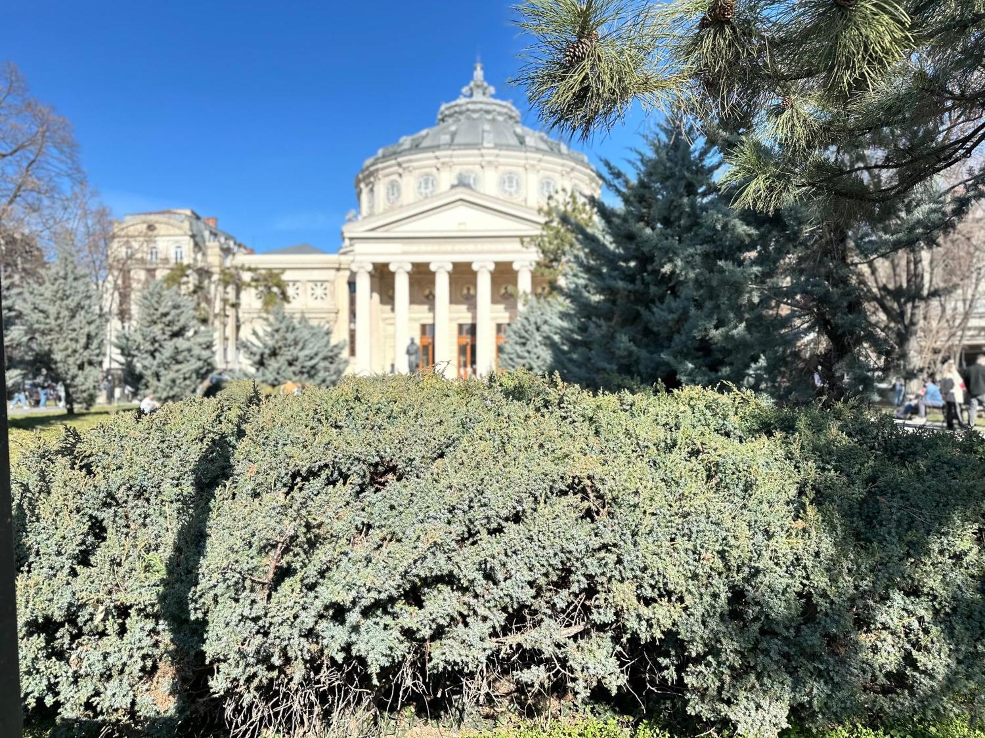 2Rooms Apartment Calea Victoriei - Atheneum Bukares Bagian luar foto